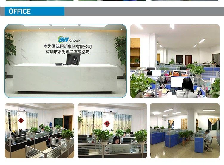 benwei company 2