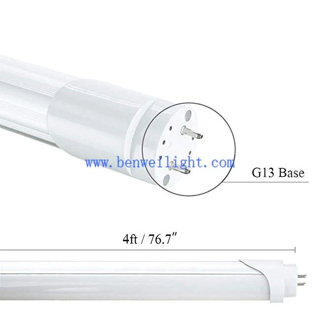 LED T8