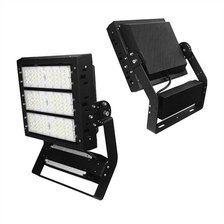 Pro Dunk Hoops Light