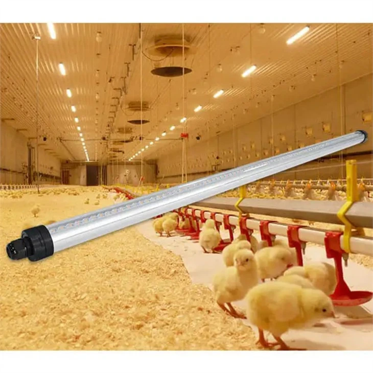 IP69K Vodotěsné 65W/45W svítidlo s kuřecím masem