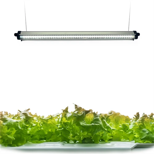 240 LED Světelné pásy pro pěstování rostlin v plném spektru s časovačem automatického zapnutí/vypnutí 3/9/12 hod.