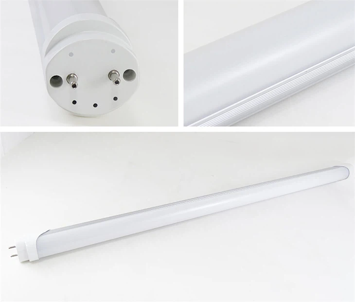 5700k6500k Club T8 LED trubice LED