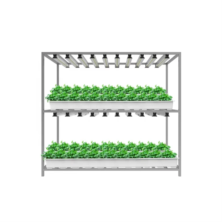 Full Spectrum T5 LED Grow Lights For Hydroponics