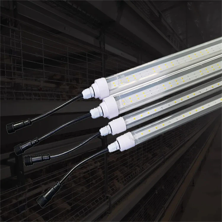 Coop Lighting 2 Coop Lighting 2
