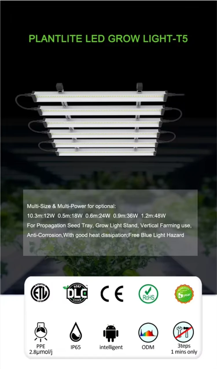 product-750-1275
