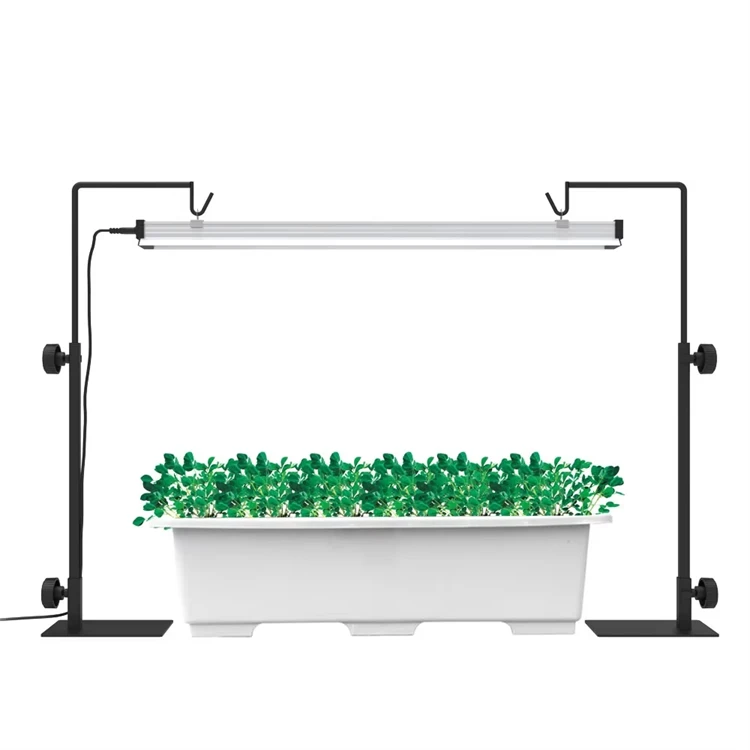product-750-750