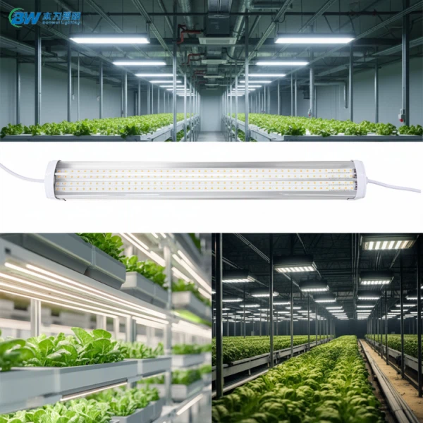 T20 Stmívatelné Zeleninové LED Grow Linear Linkable IP65 Light 20-88W